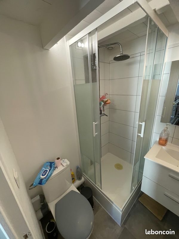 Appartement à louer, 18m², Oullins