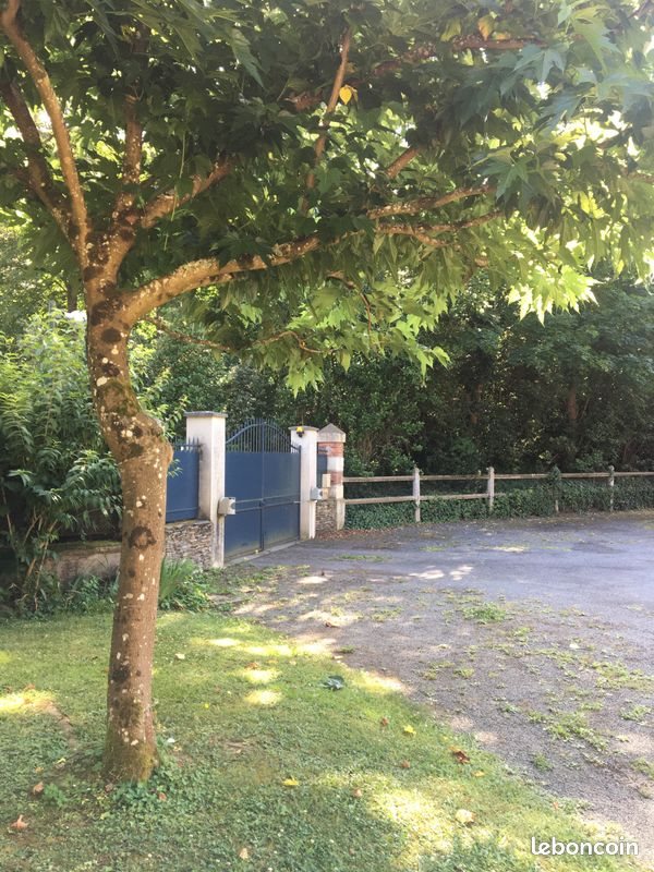 Maison à louer, 29m², Montreuil-Juigné