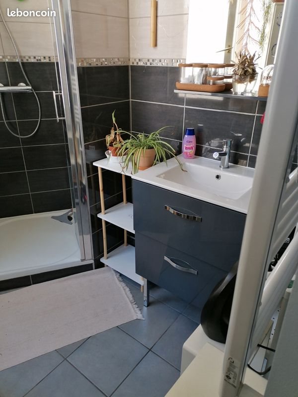 Appartement à louer, 31m², Saint-Etienne