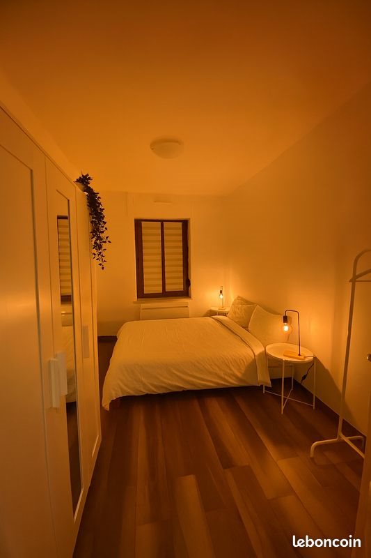 Appartement à louer, 48m², Schiltigheim