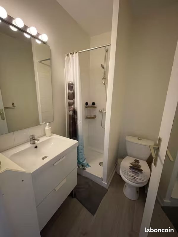 Appartement à vendre, 21m², Grenoble
