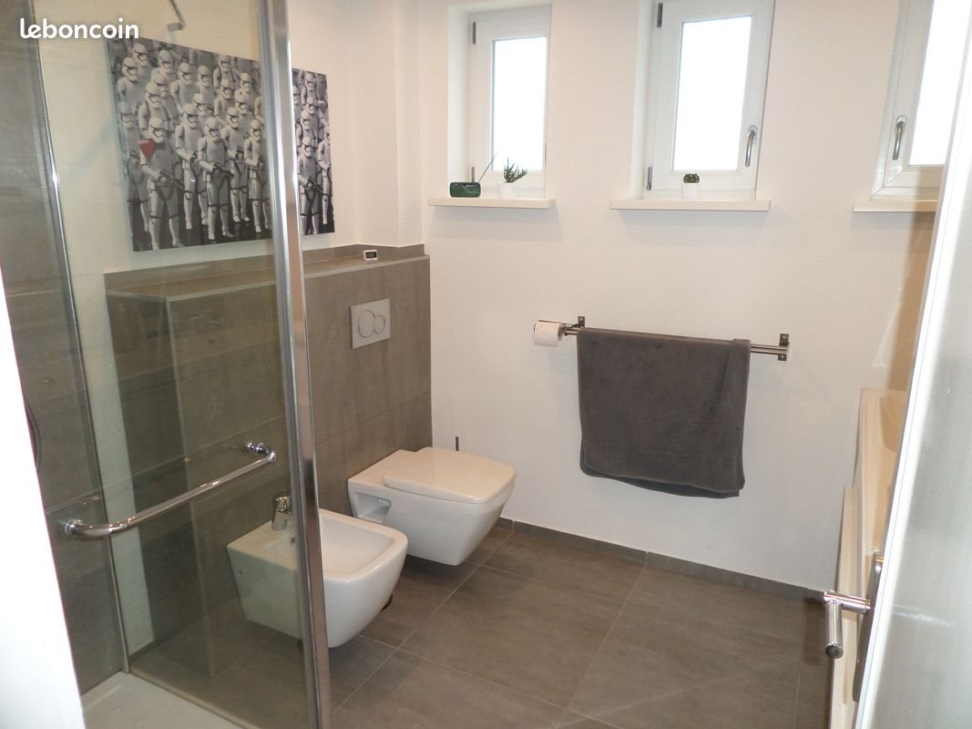Appartement à louer, 100m², Colmar