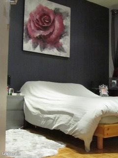 Appartement à vendre, 47m², Craponne
