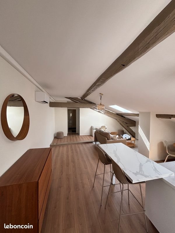 Appartement à louer, 44m², Saint-Etienne