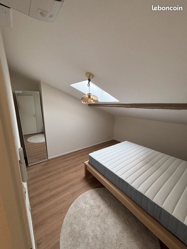 Appartement à louer, 44m², Saint-Etienne