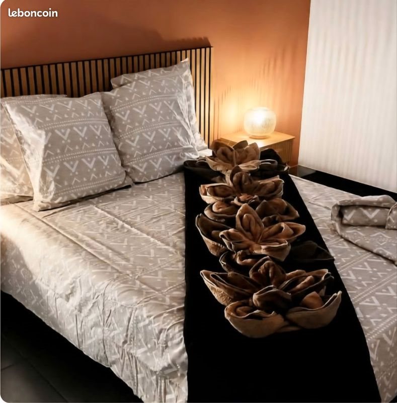 Appartement à louer, 37m², Narbonne