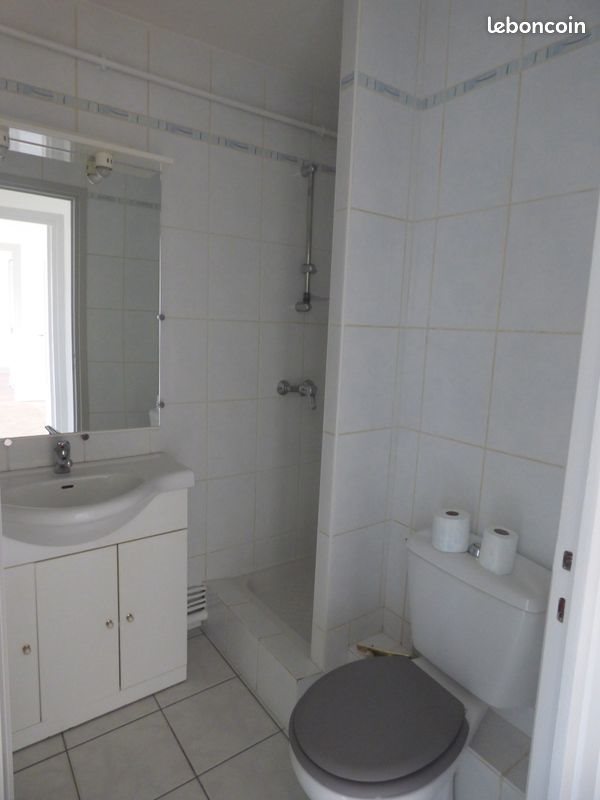Appartement à vendre, 39m², Saint-Etienne