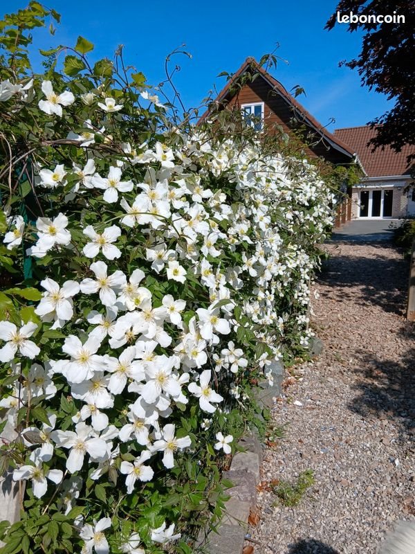 Maison à vendre, 143m², Volckerinckhove
