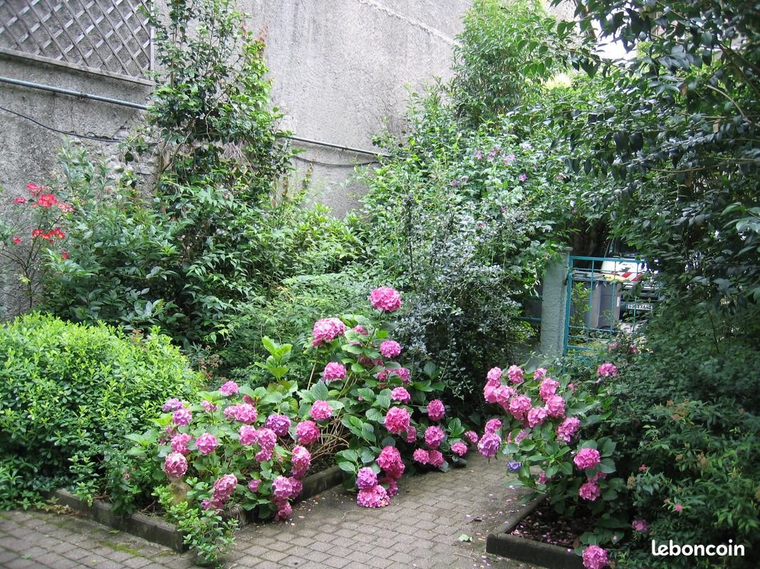 Appartement à louer, 18m², Pau