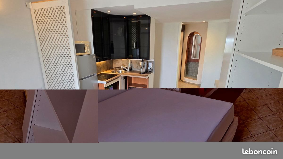 Appartement à louer, 21m², Villeneuve-Loubet