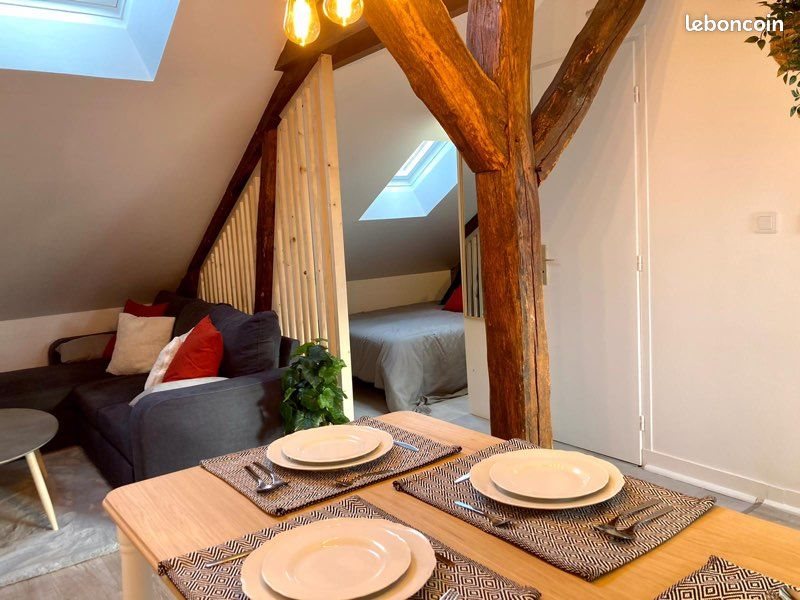 Appartement à louer, 25m², Orléans