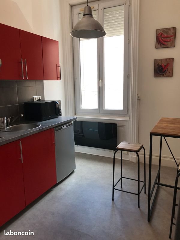 Appartement à louer, 31m², Saint-Etienne