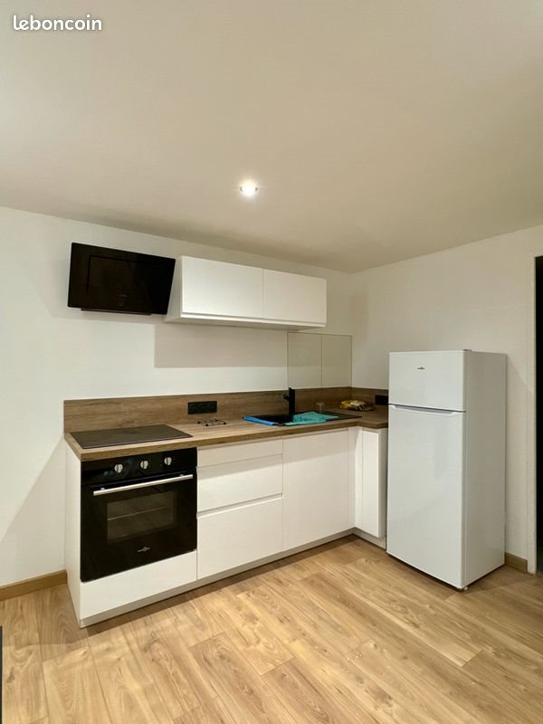 Appartement à louer, 37m², Saint-Etienne