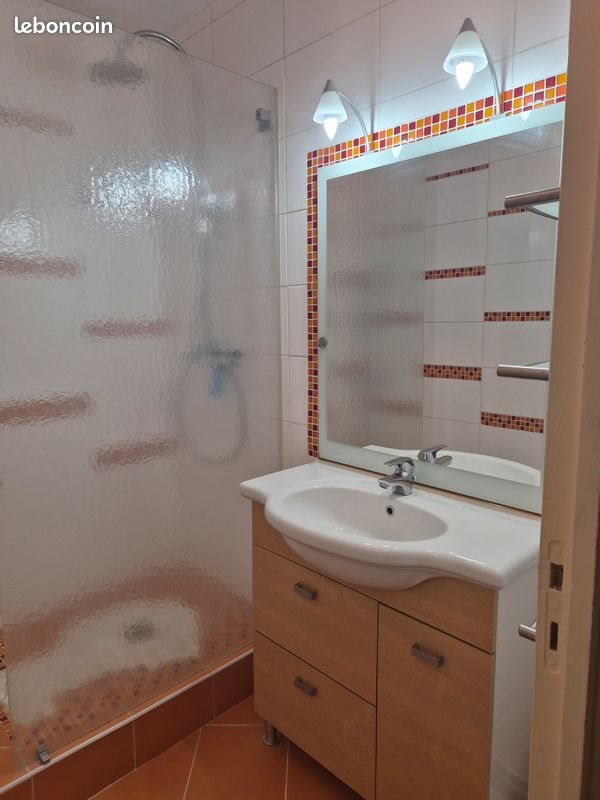 Appartement à louer, 53m², Olivet