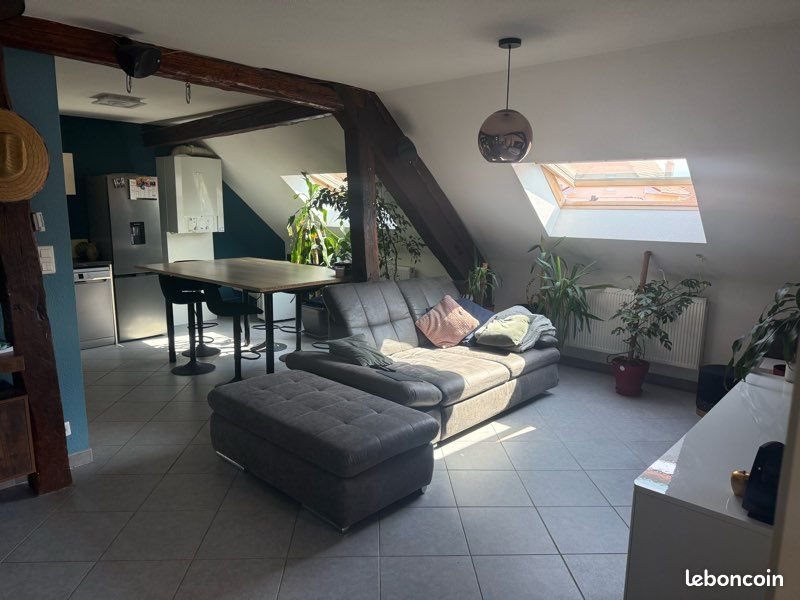 Appartement à louer, 56m², Delle