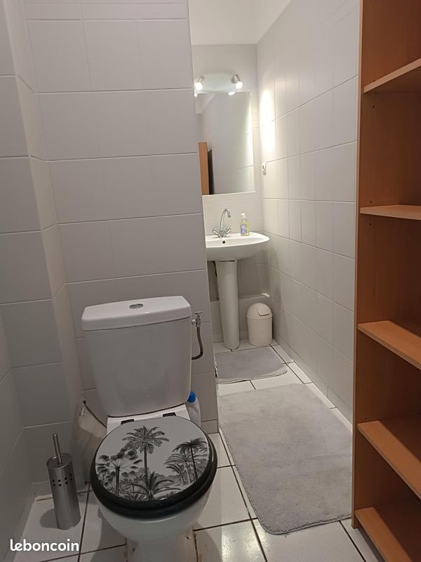 Appartement à louer, 38m², Saint-Étienne