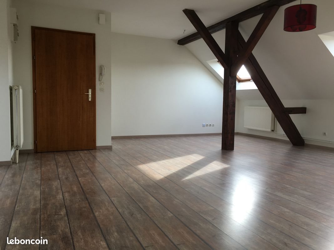 Appartement à louer, 60m², Mulhouse