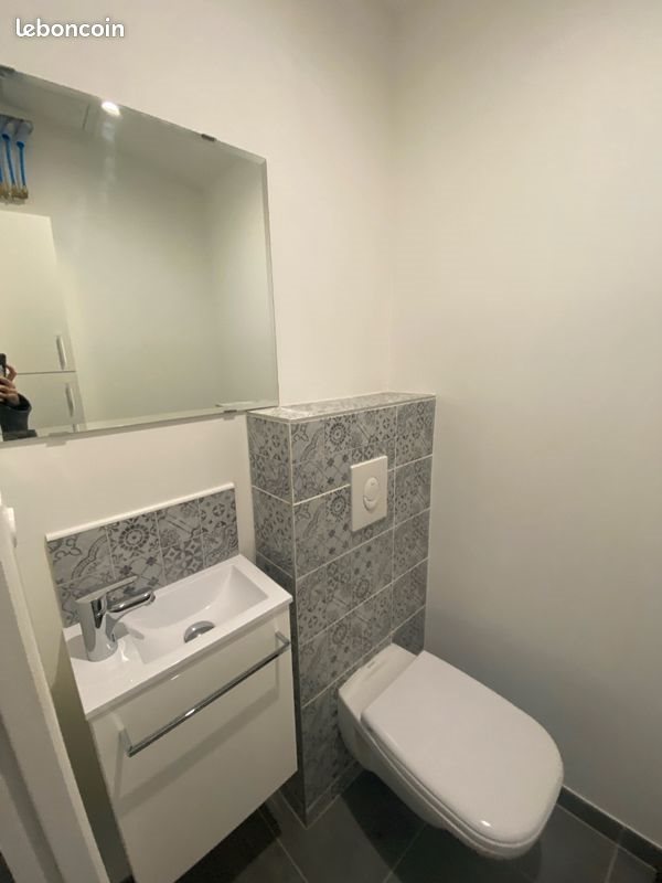 Appartement à louer, 45m², Voiron