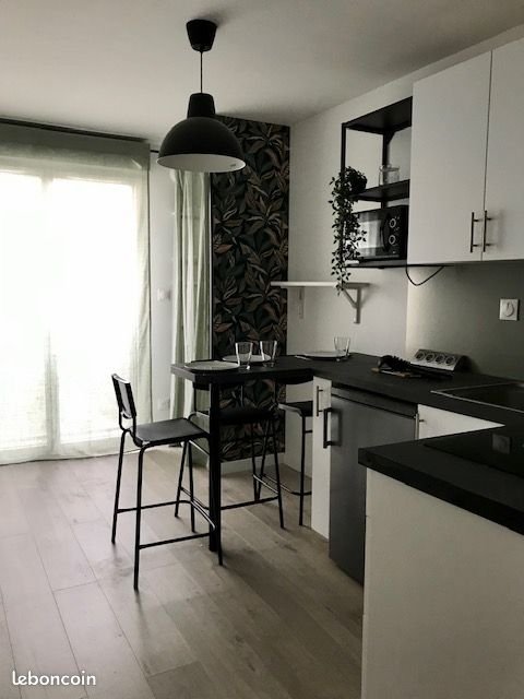 Appartement à louer, 20m², Oullins
