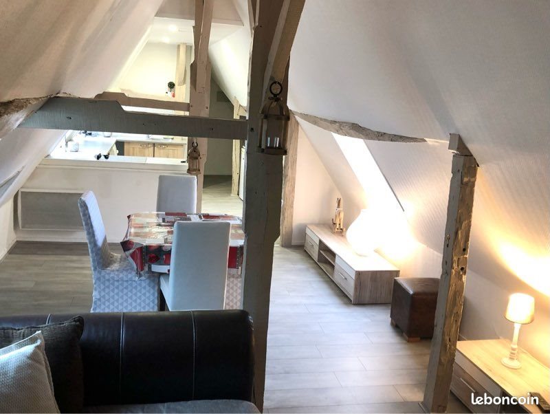 Appartement à louer, 50m², Saumur