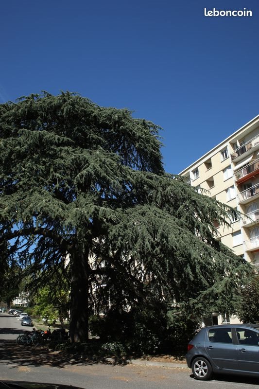 Appartement à vendre, 68m², Caluire-et-Cuire