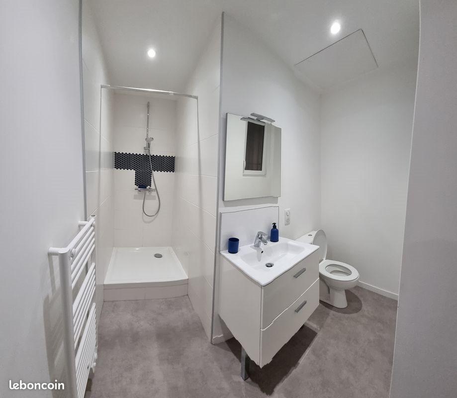 Appartement à louer, 37m², Roanne