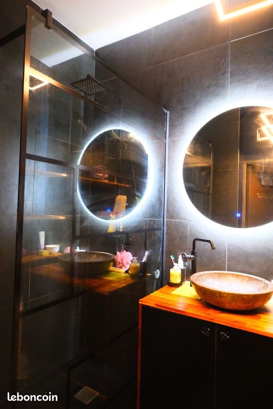 Appartement à louer, 50m², Villeurbanne