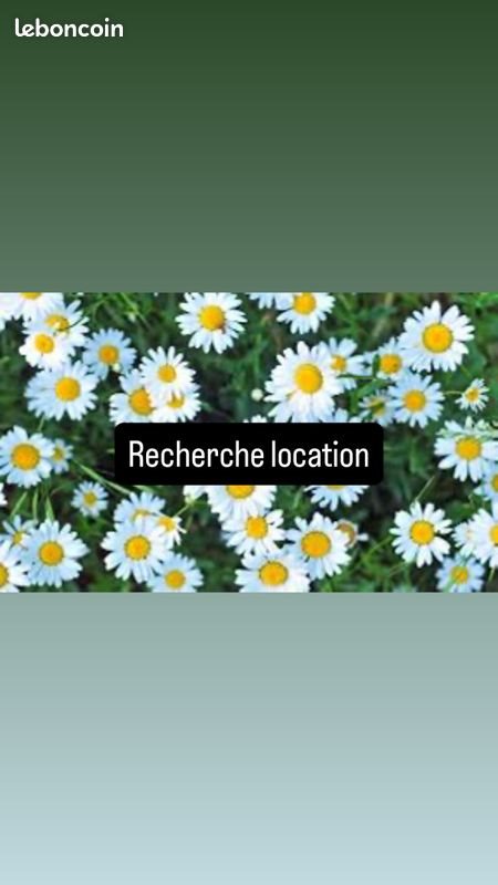 Appartement à louer, 35m², Toulouse