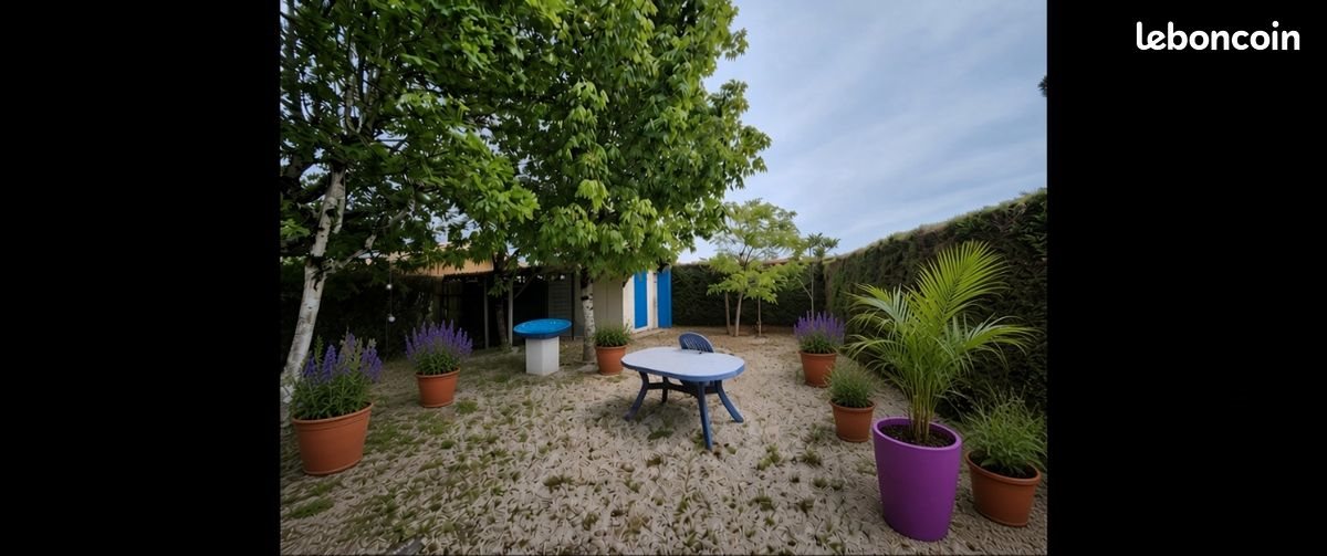 Maison à louer, 75m², Sanguinet