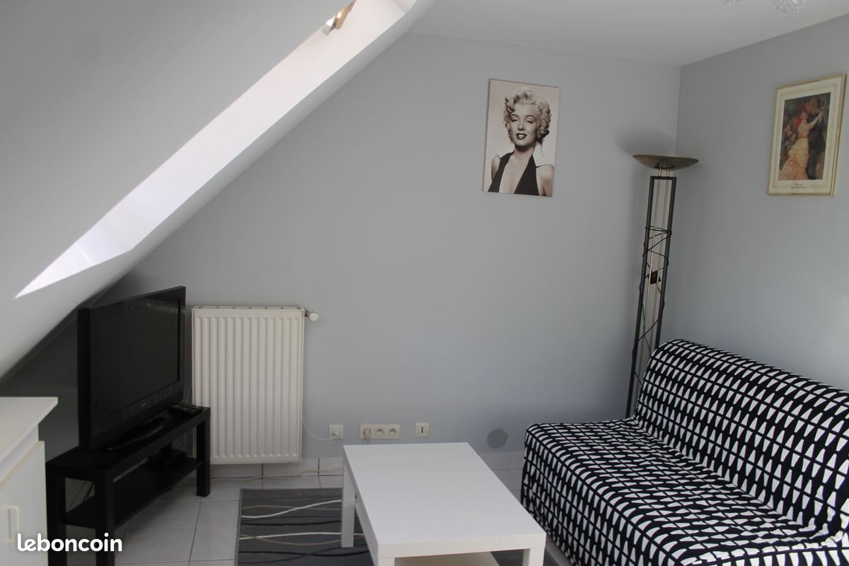 Appartement à louer, 35m², Pocé-sur-Cisse