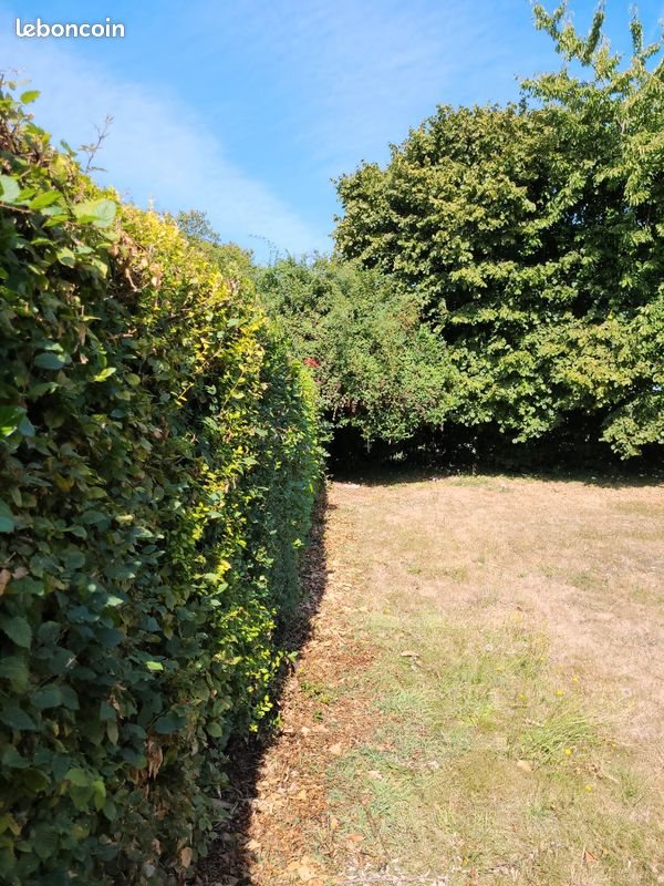 Maison à louer, 150m², La Londe