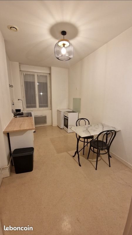 Appartement à louer, 45m², Saint-Etienne