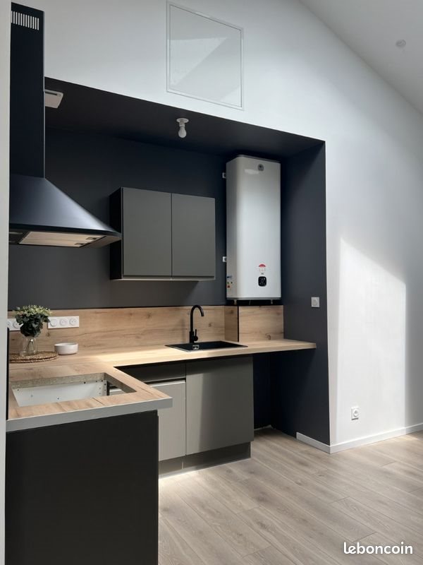 Appartement à louer, 45m², Beaurepaire
