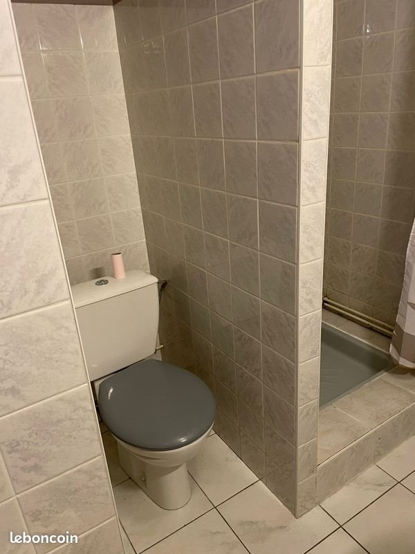 Appartement à louer, 35m², Nancy