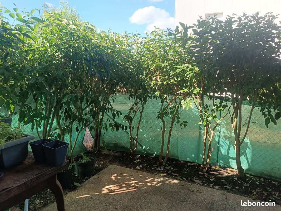 Appartement à louer, 31m², Poitiers