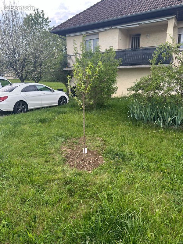 Maison à louer, 100m², Mandeure