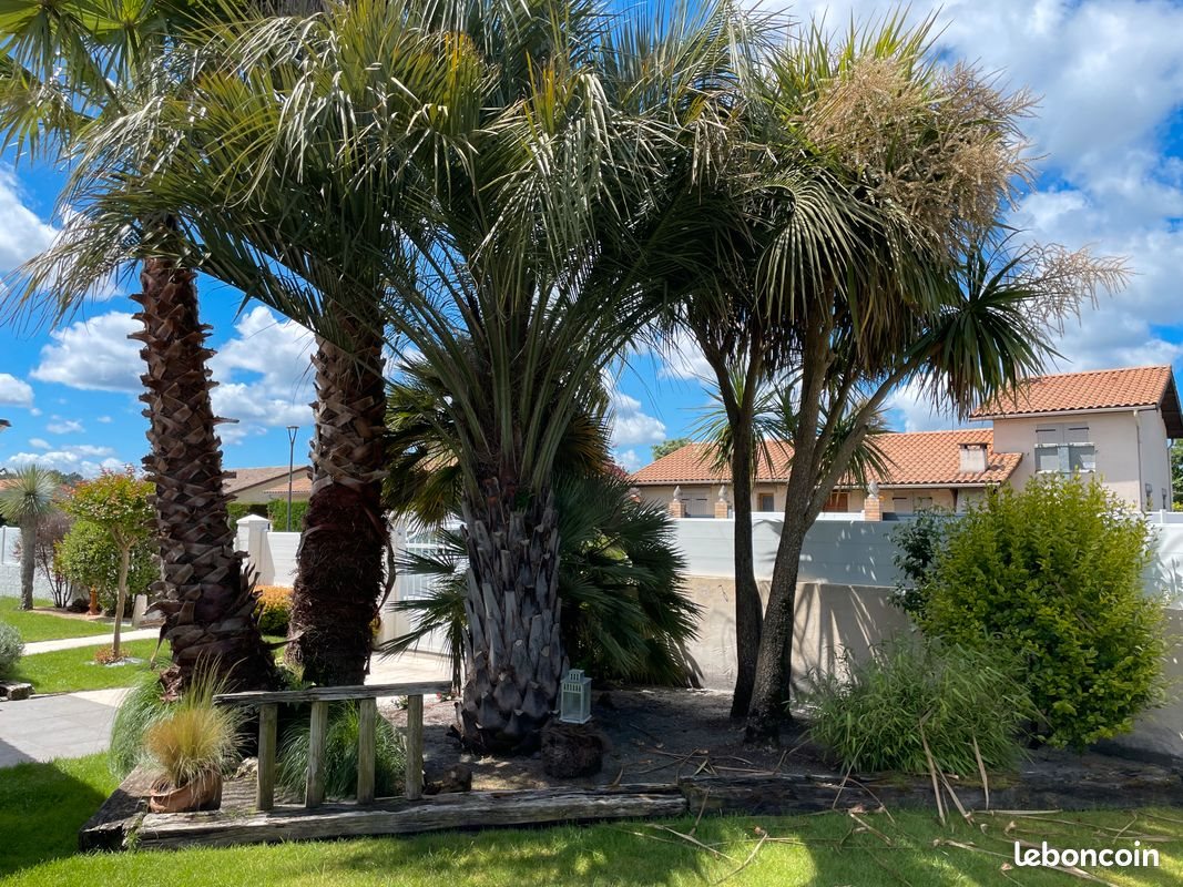 Maison à vendre, 81m², Biganos