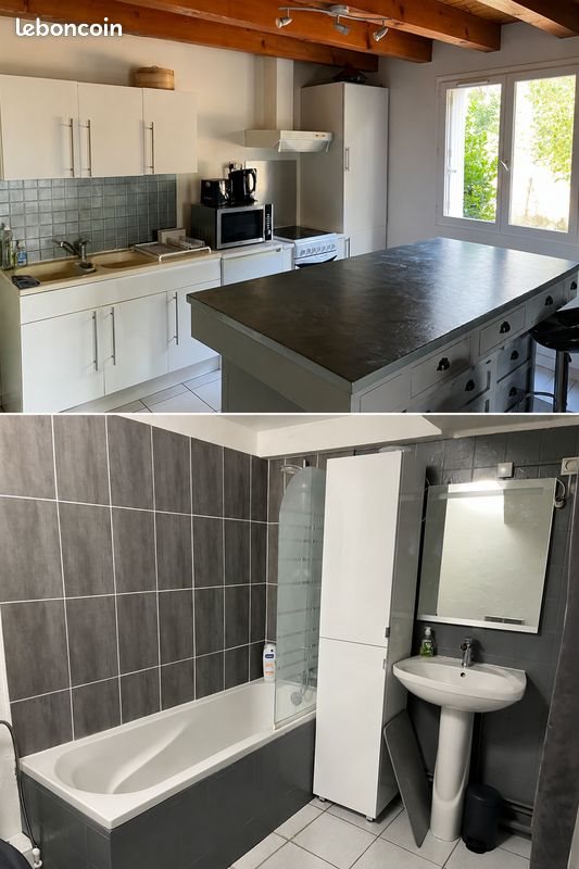 Maison à louer, 50m², Saint-Avertin