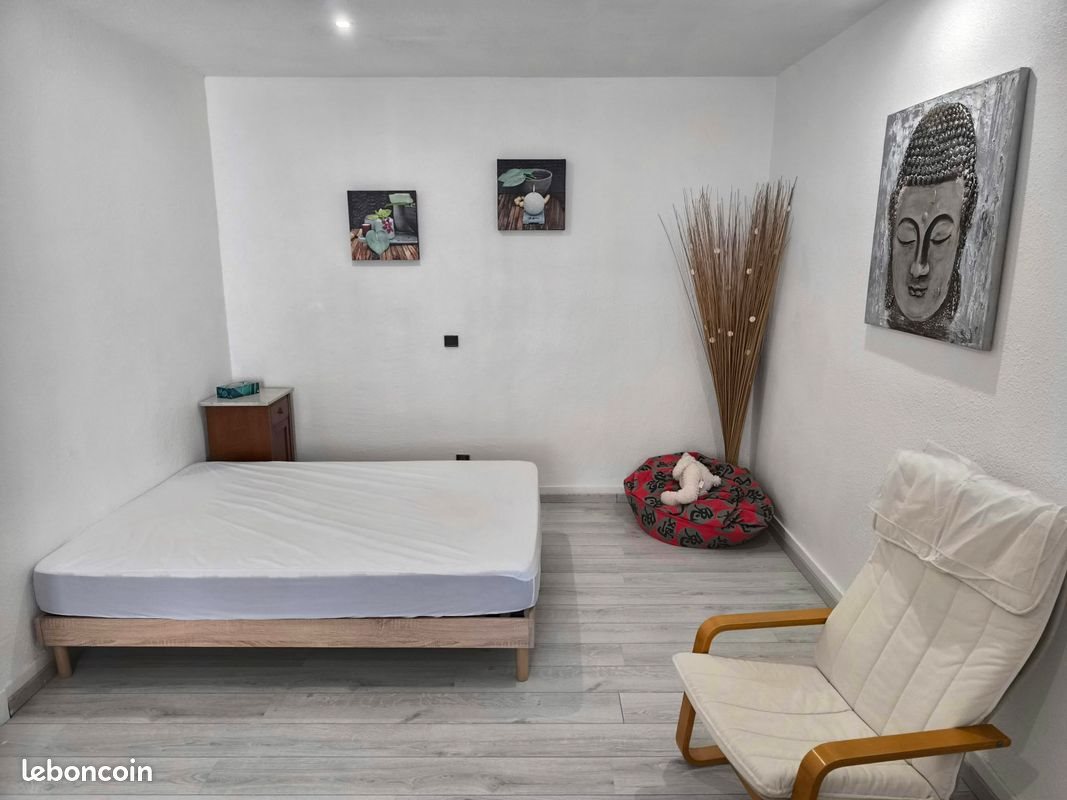Appartement à louer, 40m², Cours-la-Ville