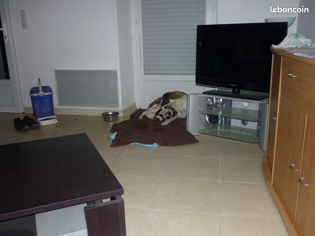 Maison à vendre, 110m², Camors
