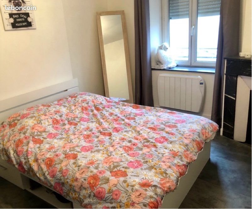 Appartement à louer, 29m², Nancy