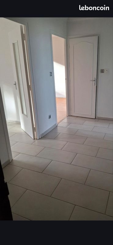 Appartement à louer, 53m², Saint-Étienne