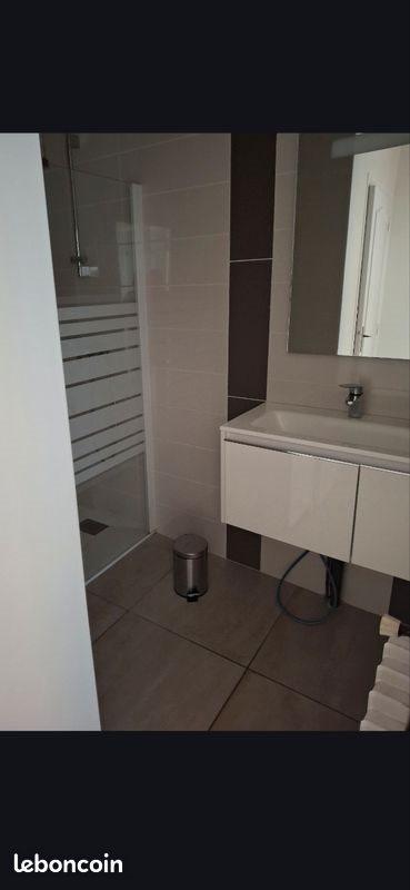 Appartement à louer, 53m², Saint-Étienne