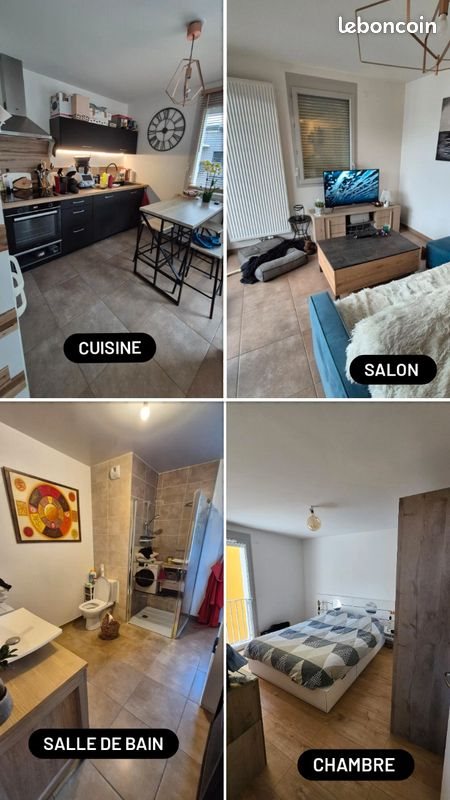Appartement à vendre, 46m², Cognin