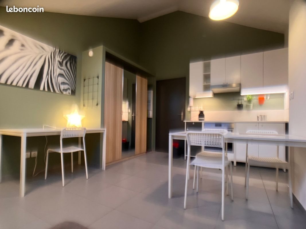 Appartement à louer, 25m², Saint-Etienne