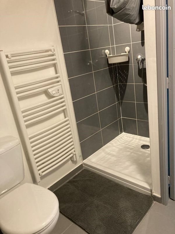Appartement à louer, 25m², Saint-Etienne
