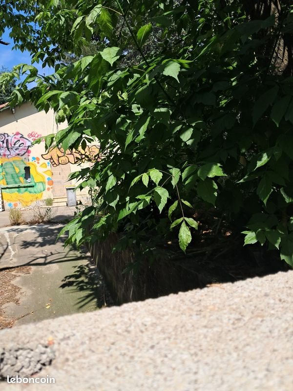 Maison à vendre, 100m², Montpellier