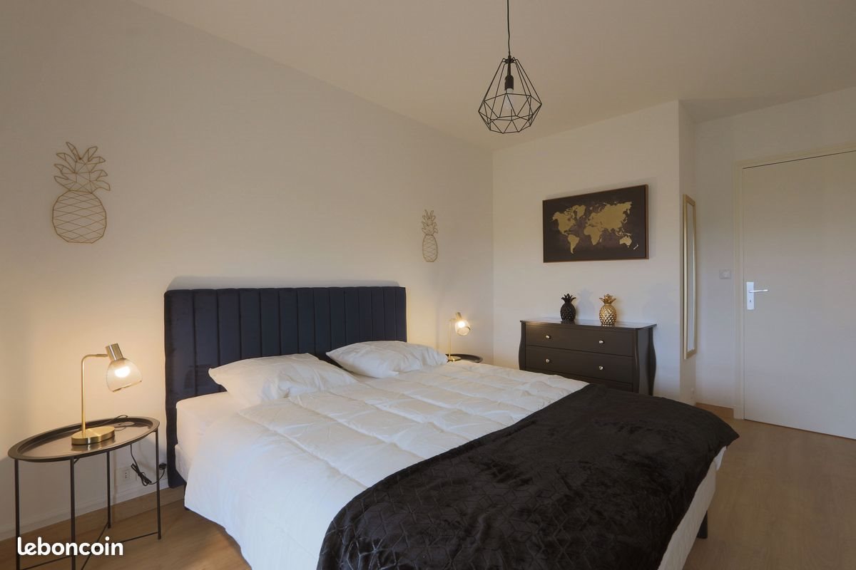 Appartement à louer, 41m², Tours