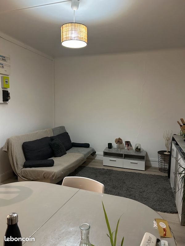 Appartement à louer, 40m², Saint-Étienne