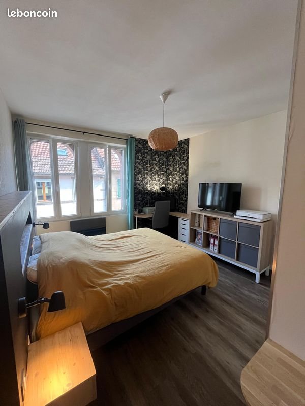Appartement à vendre, 52m², Strasbourg